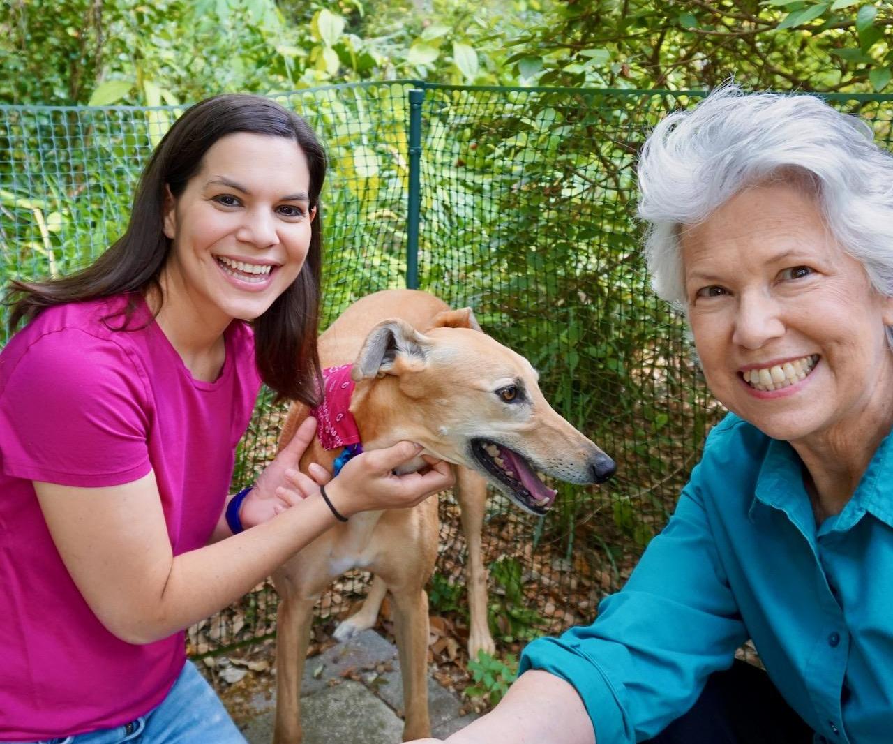 DIY Temporary Rental Friendly PVC Fence
