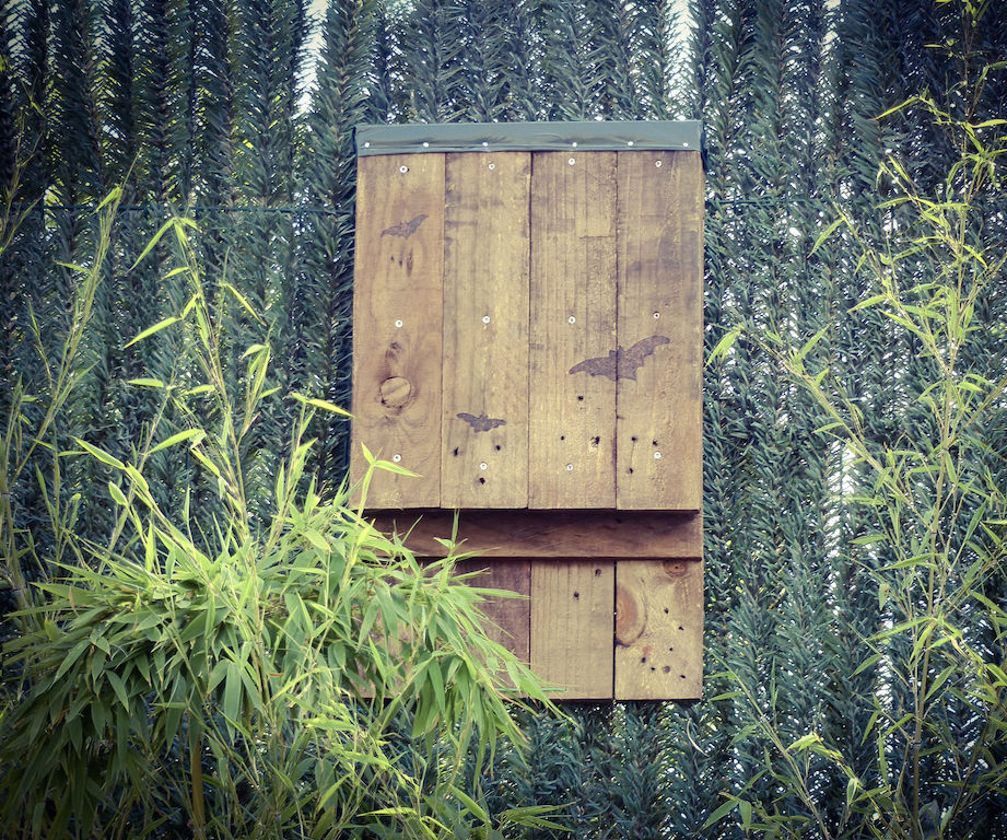 Bat House From Pallet