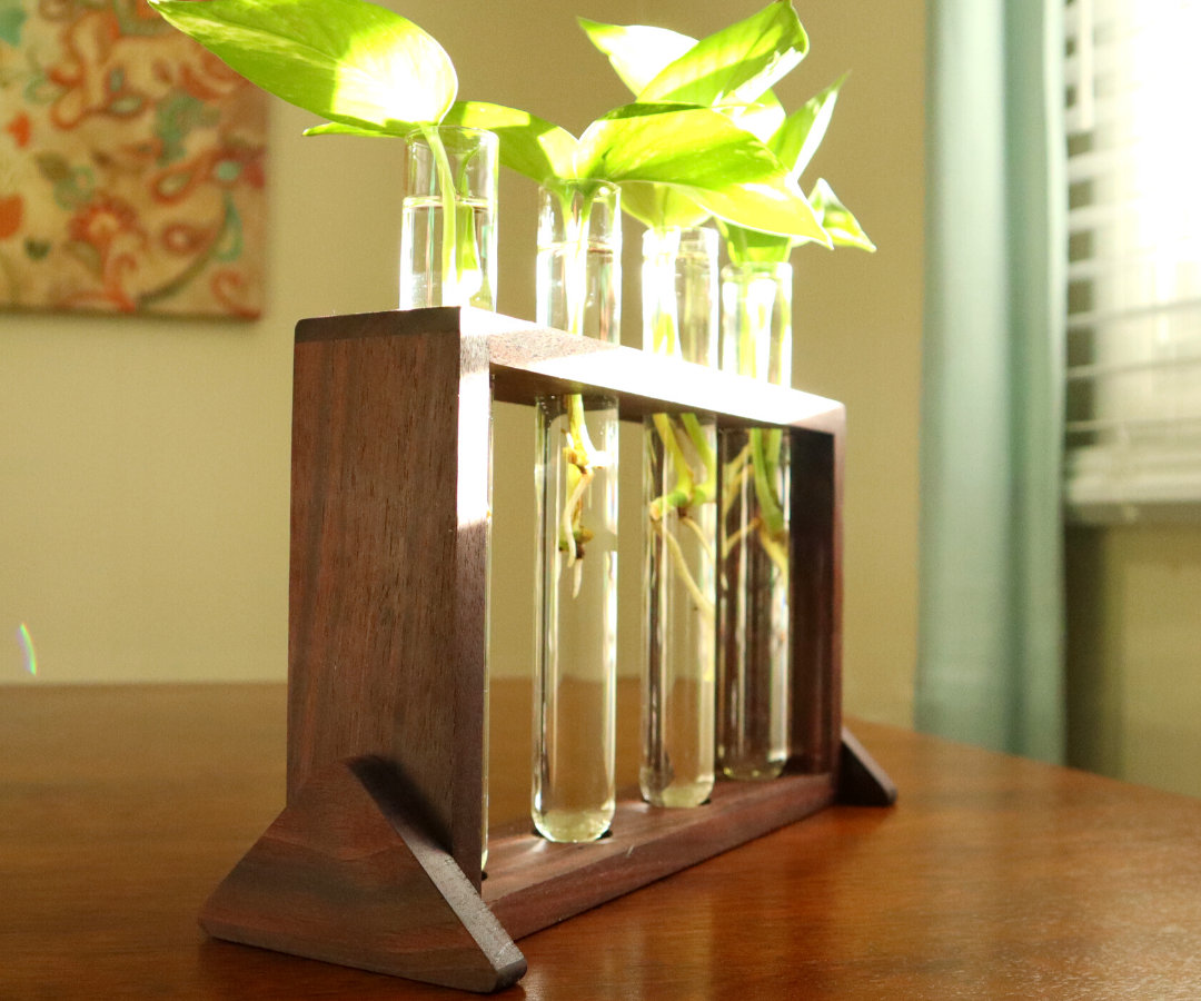 How to Make a Propagation Staion