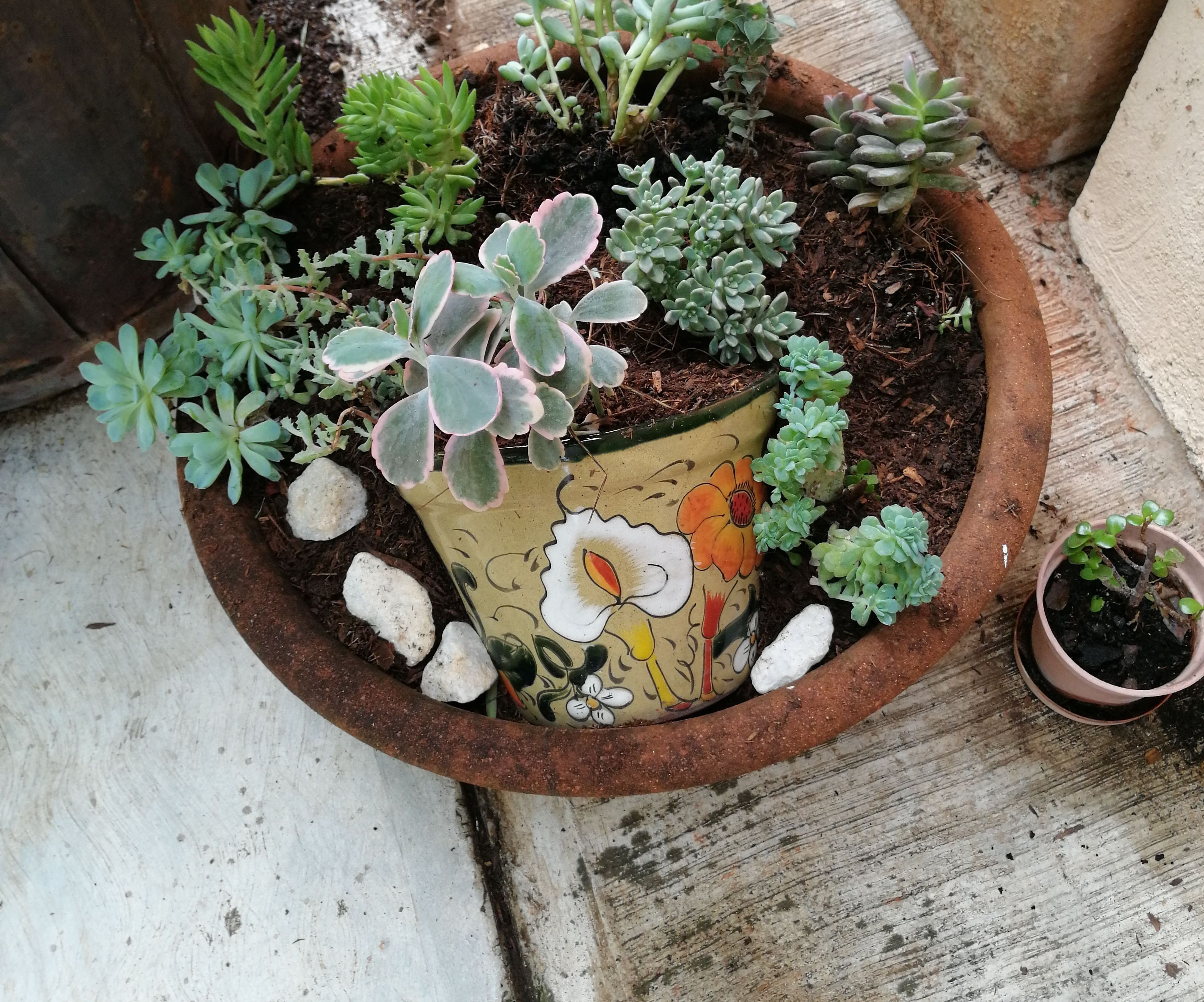 Give a New Life to Your Broken Pot