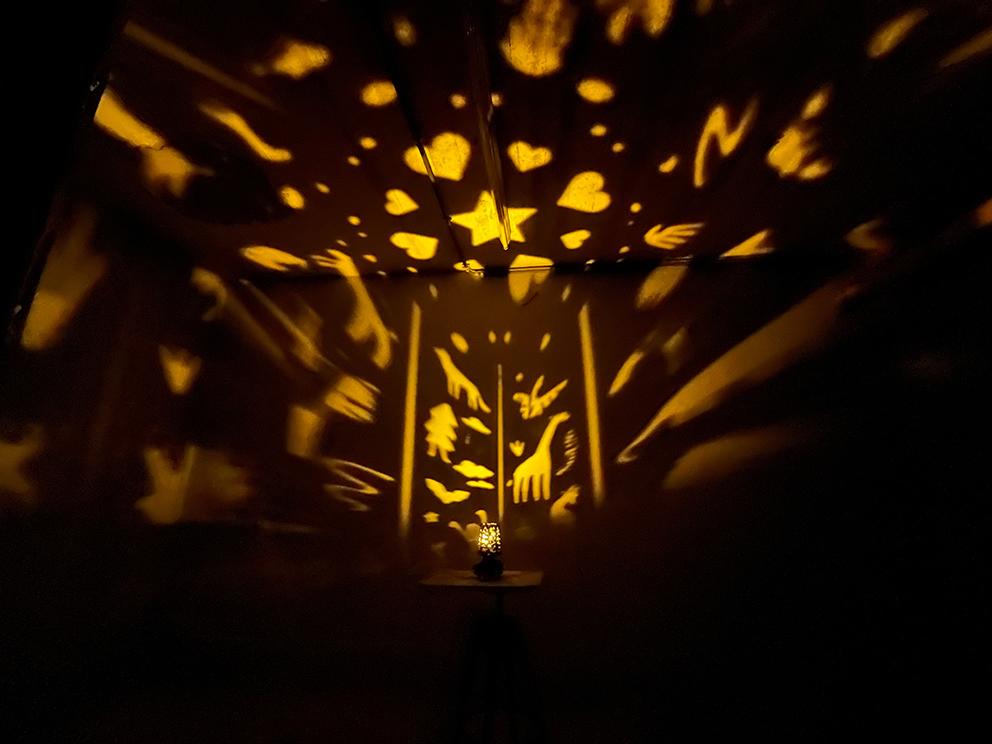 EA'S Dream - 3D Printed Kinetic Lantern