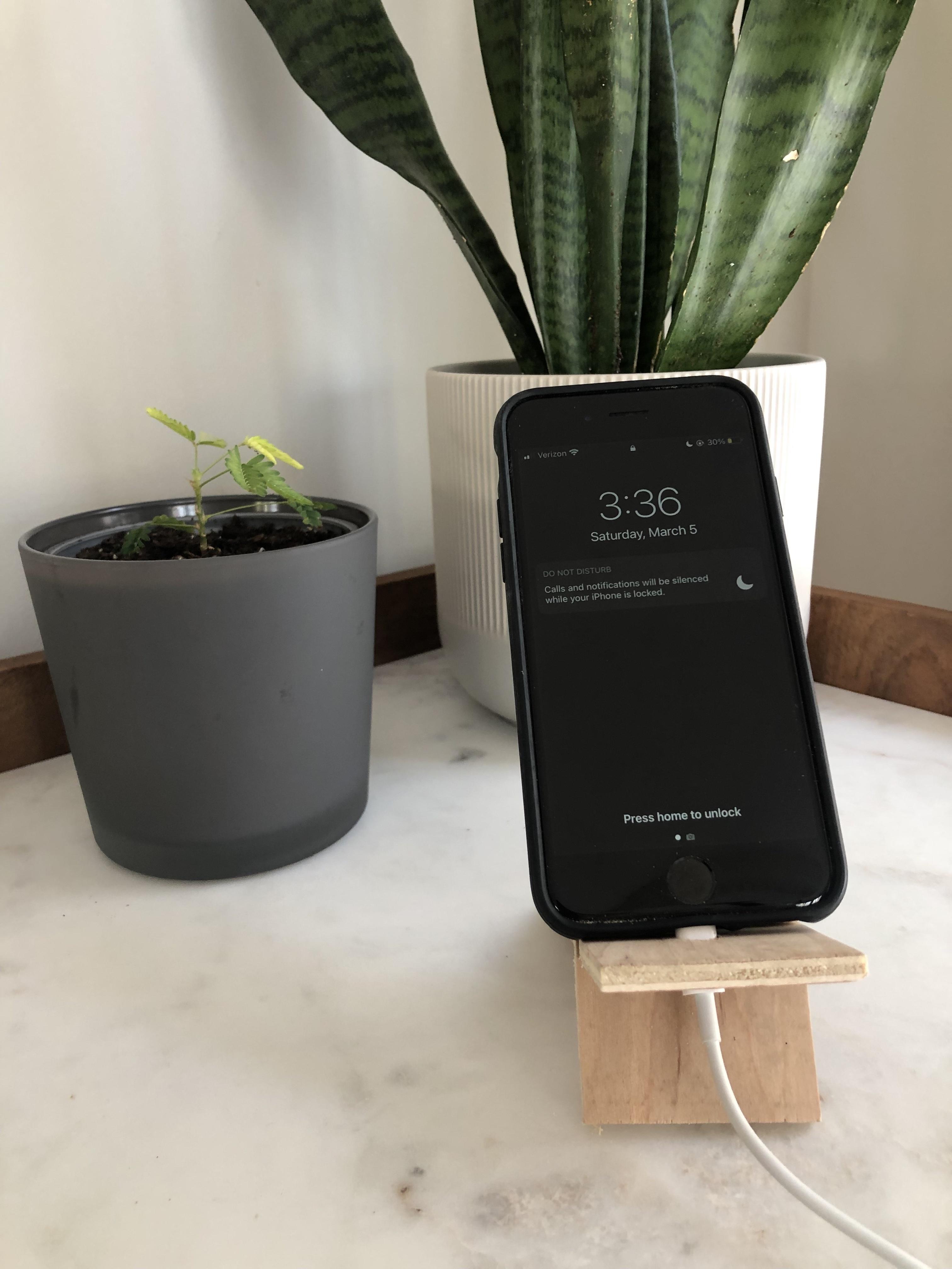 Scrap Wood IPhone Holder