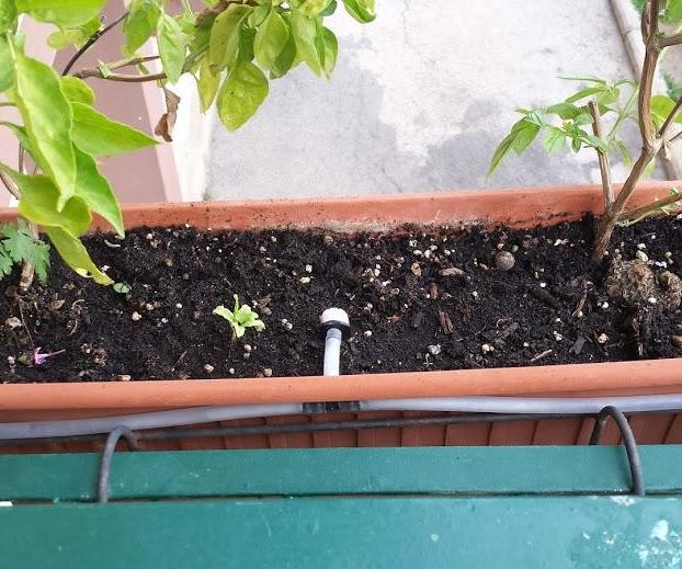Battery-powered Irrigation for Balcony Plants