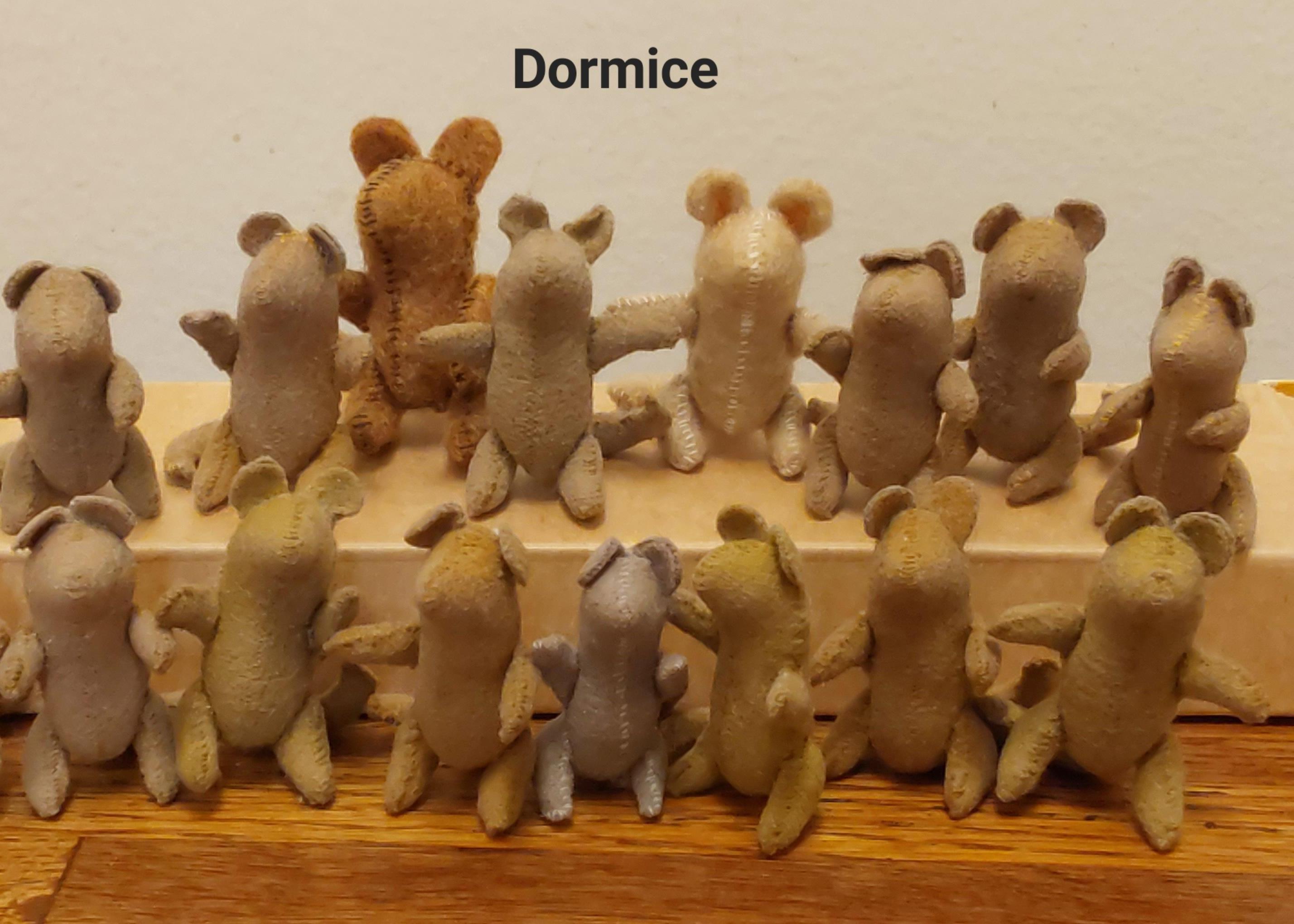 Crayon Dyed Miniature Dormice and Beds