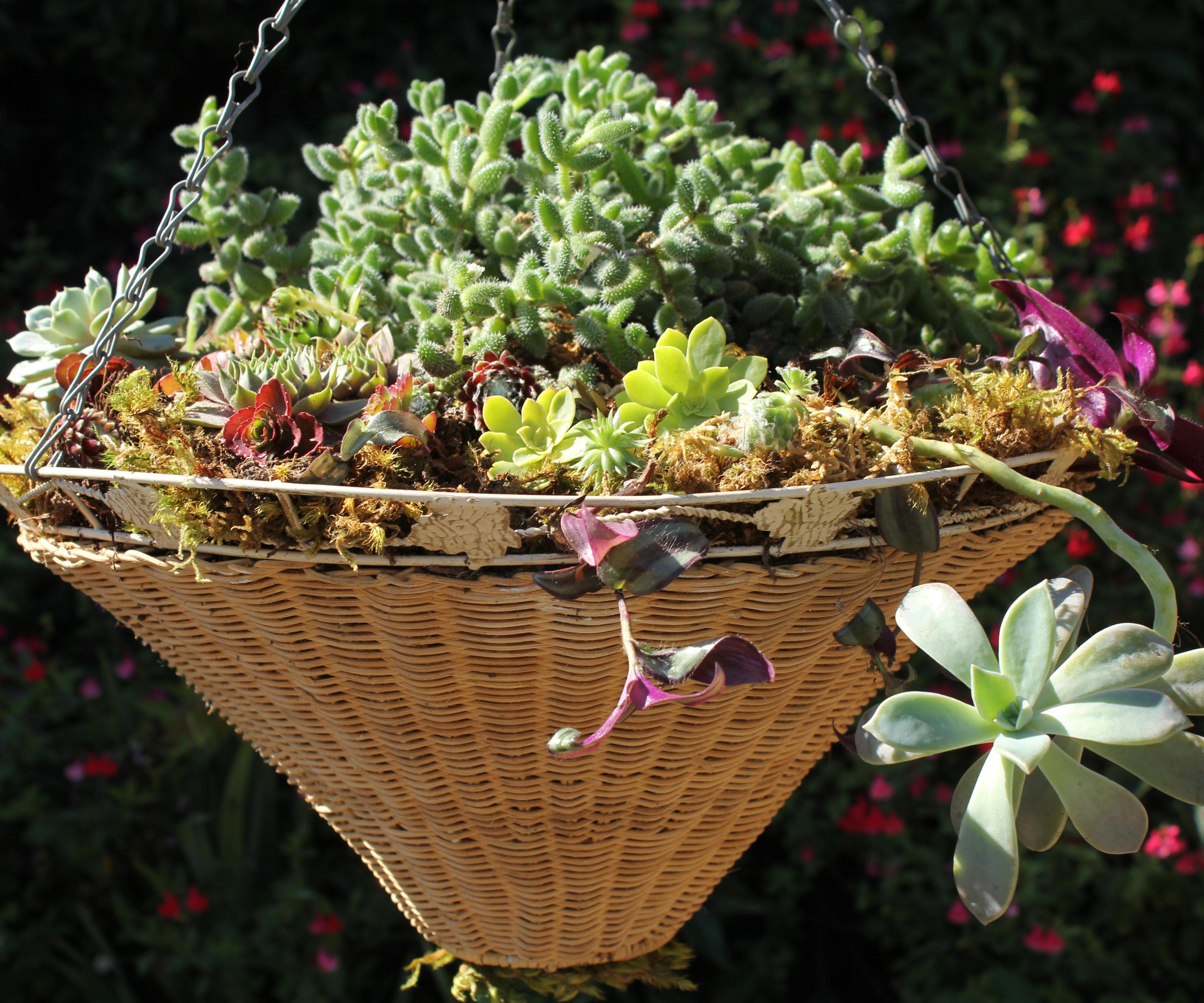 Lampshade to Planter Conversion