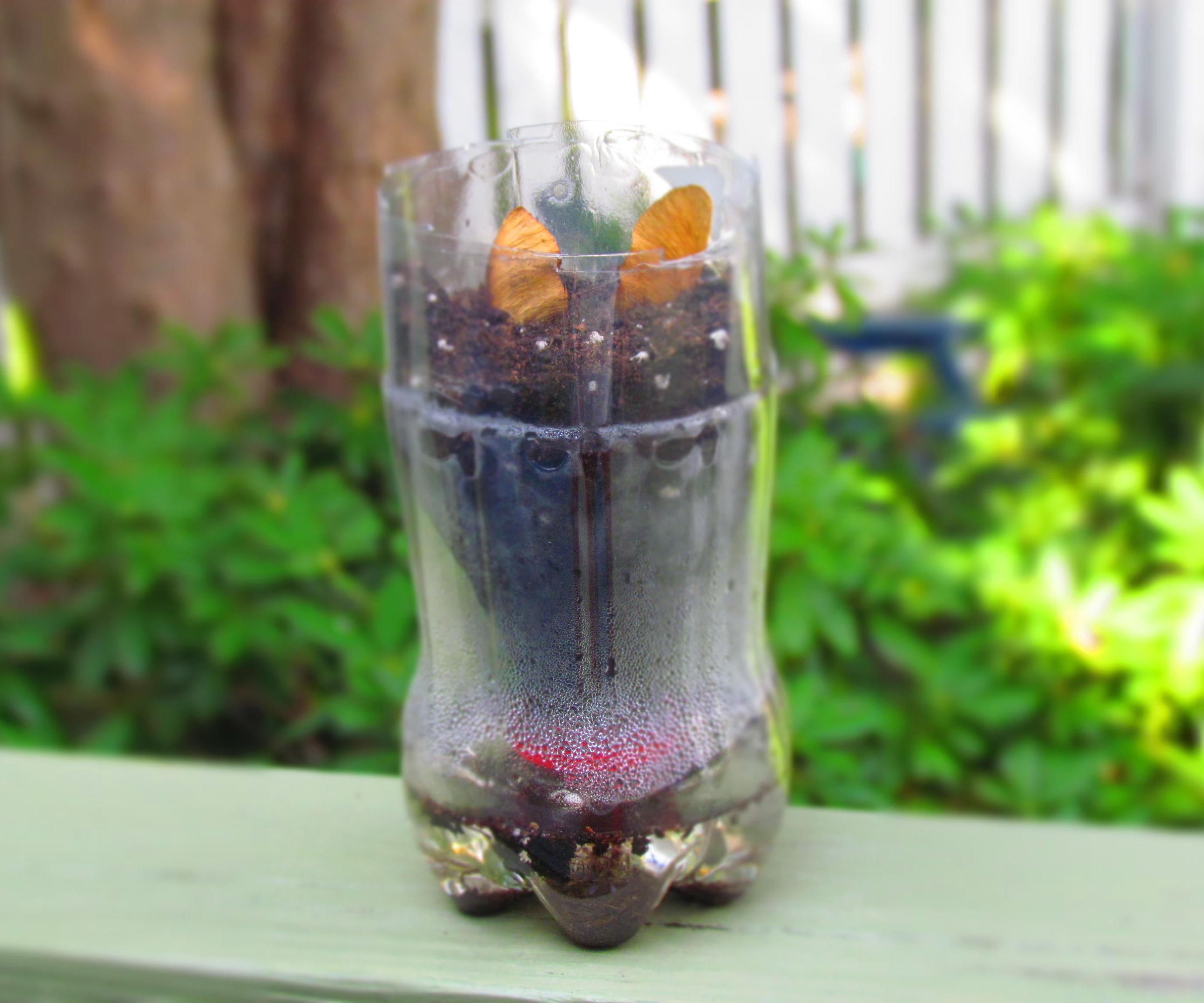 DIY Self Watering Plant with 3 Objects!