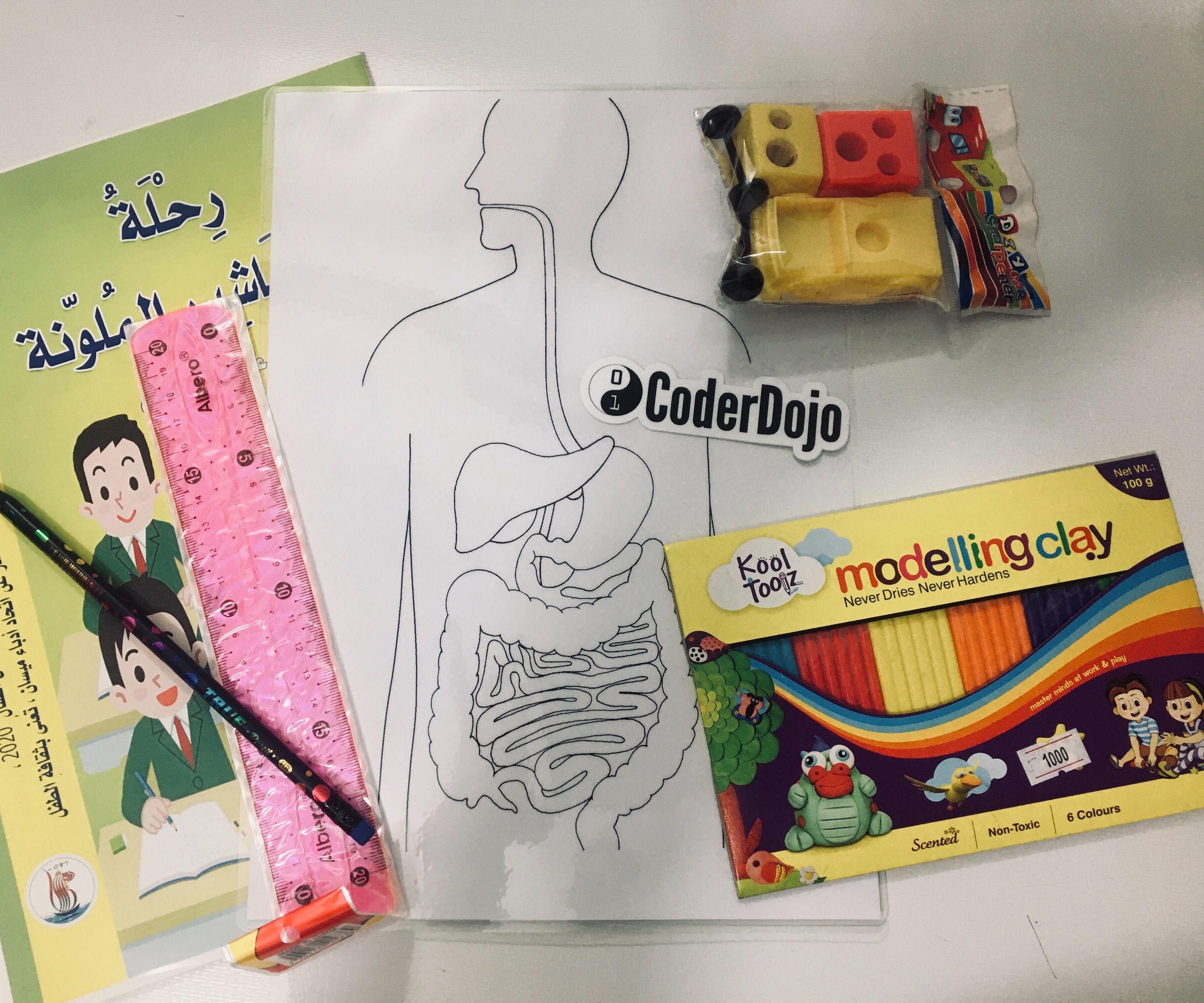 Our Digestive System