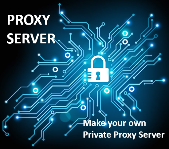 Setup Proxy Server Using Brainy Pi