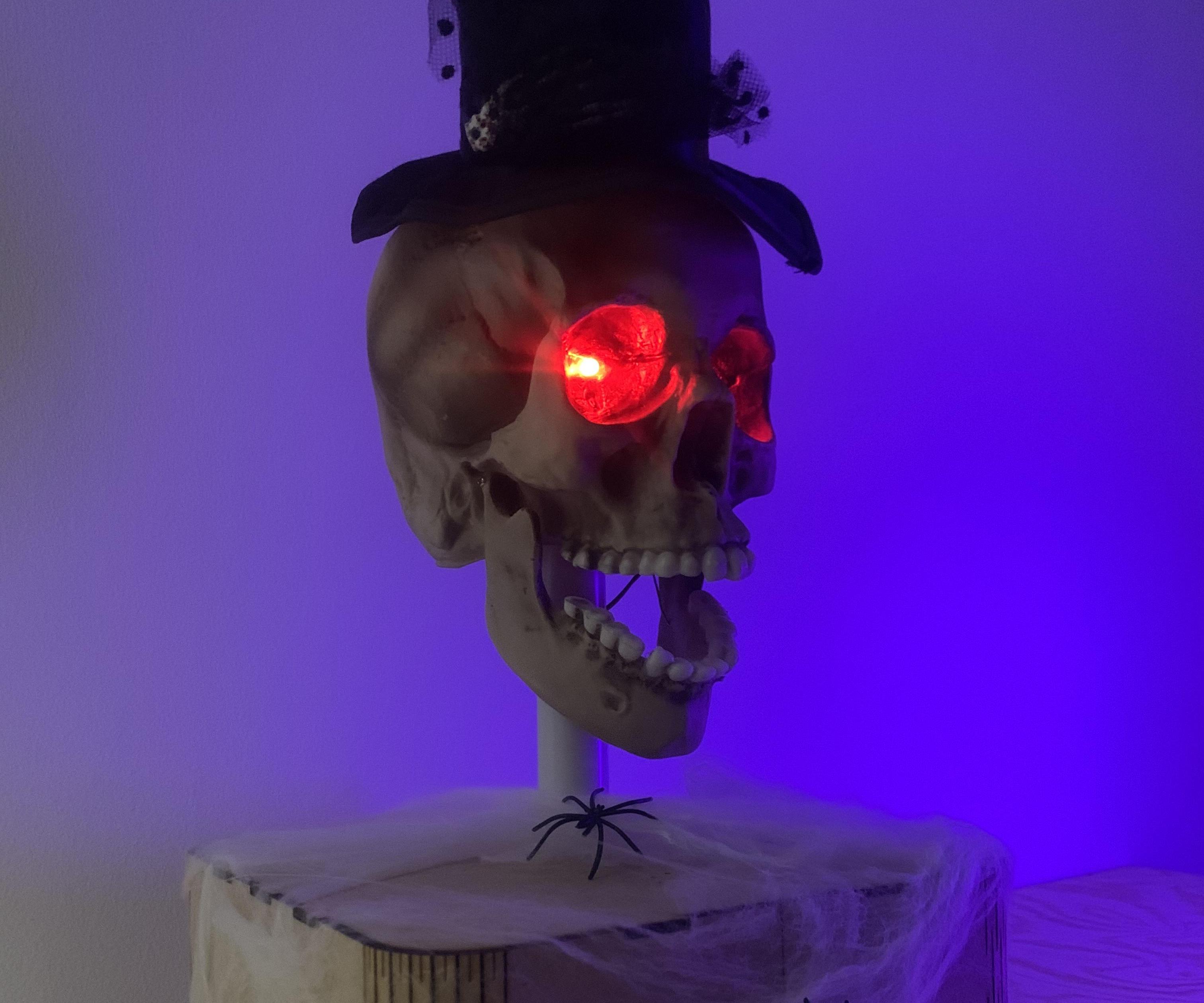 Intruder Scarer, Laughing Skull