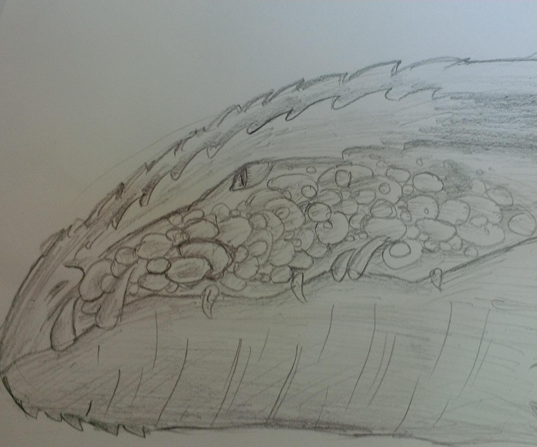 How to Draw a Dragon Head