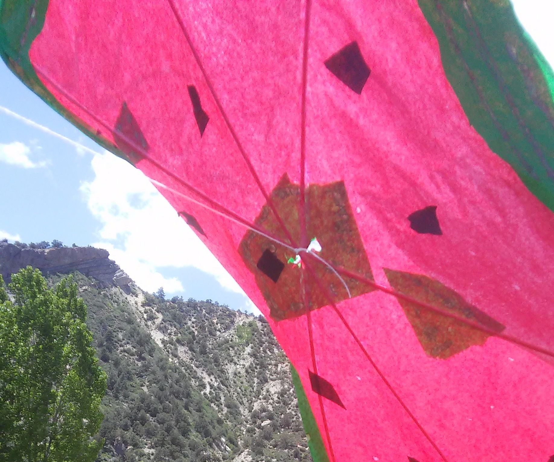 Watermelon Edo for Project Future Class