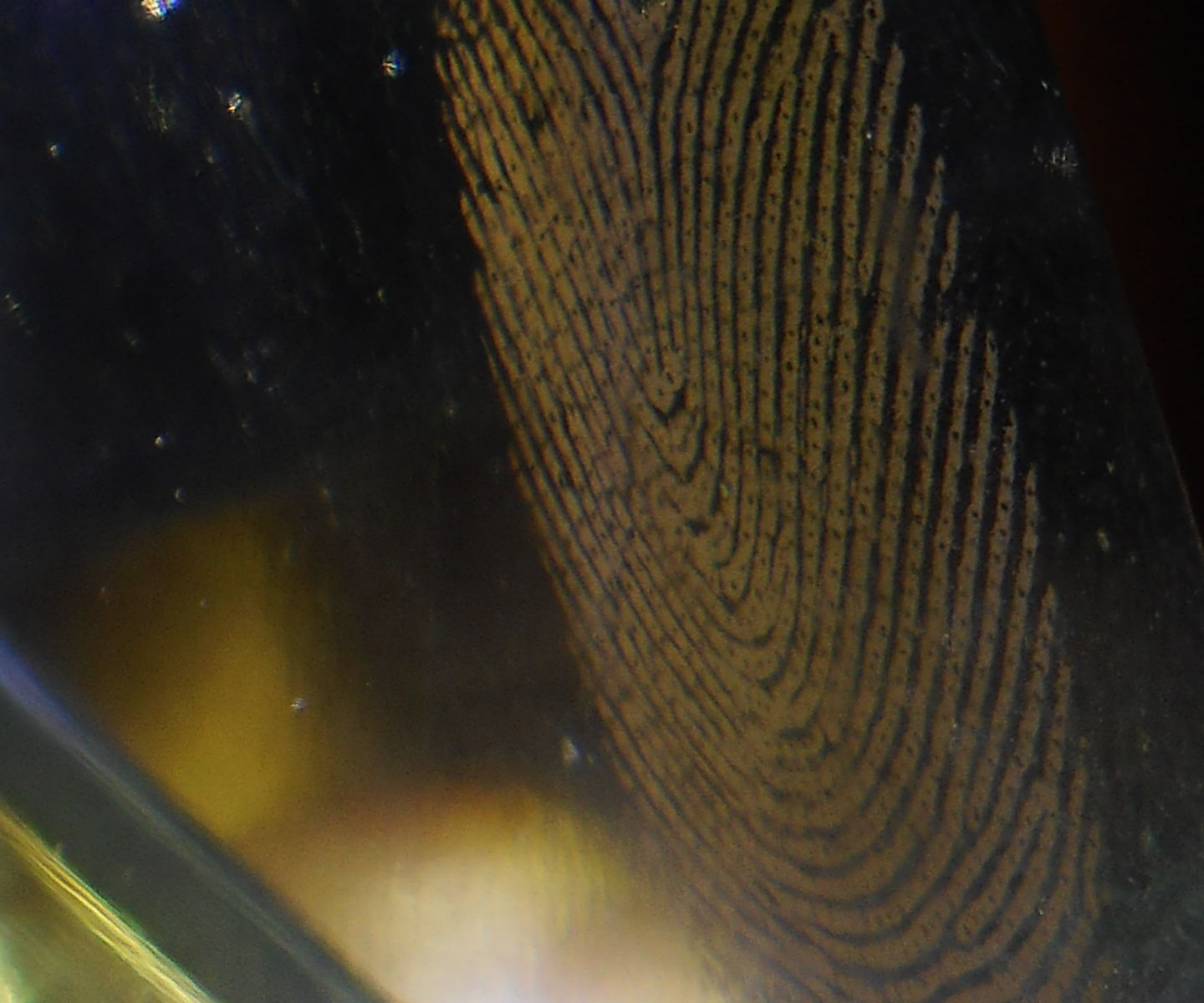 Mini Fingerprint Viewer