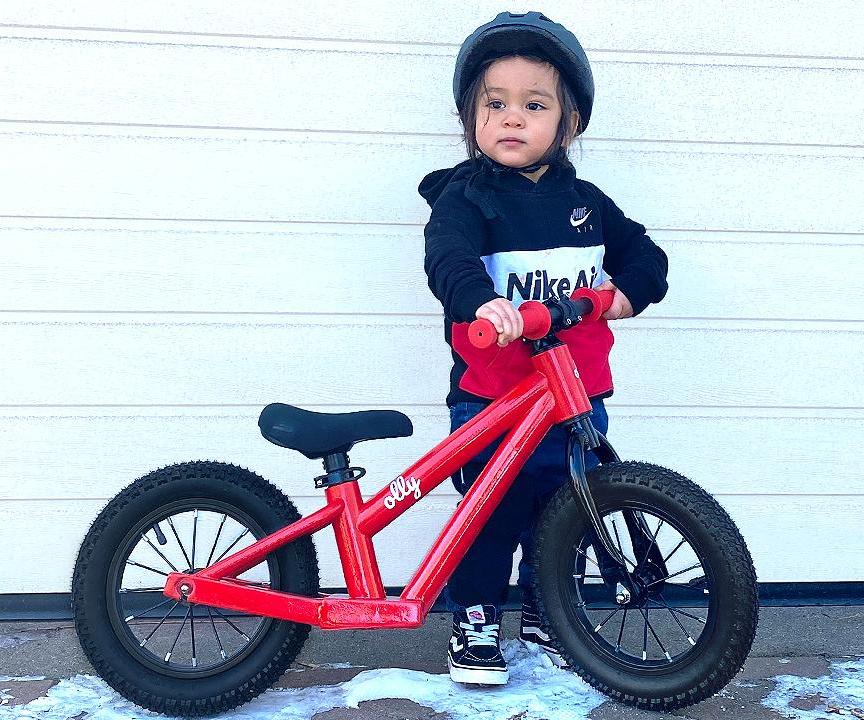 3D Printed Bike for Toddler (walking Bike)