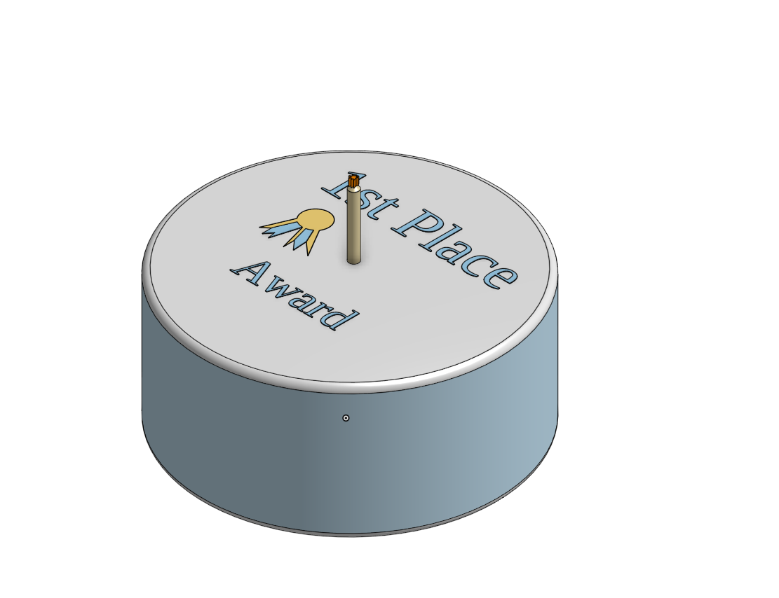 1st Place Award Winner Cake