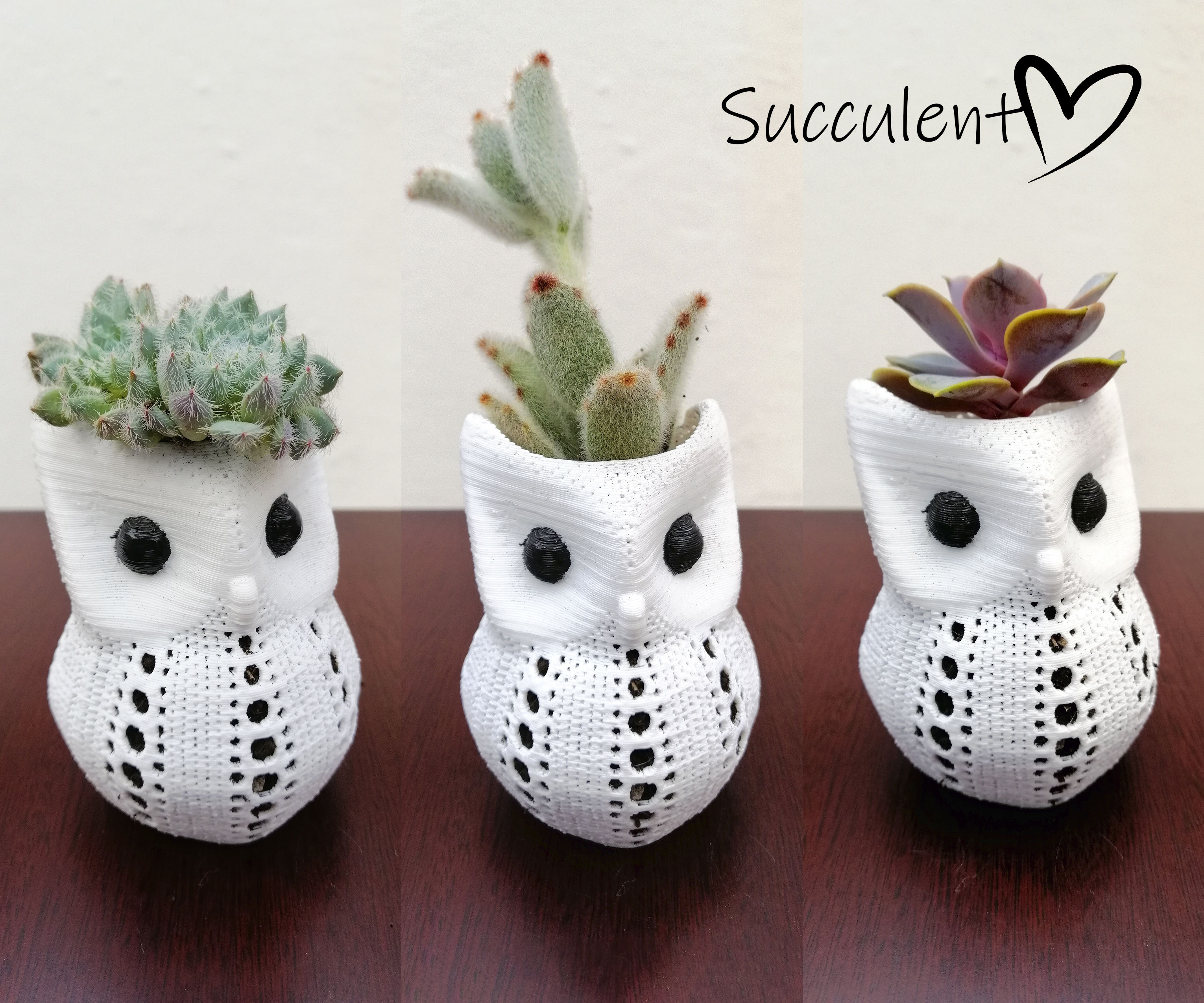 Adorable 3D Printing Owl Succulent Pot