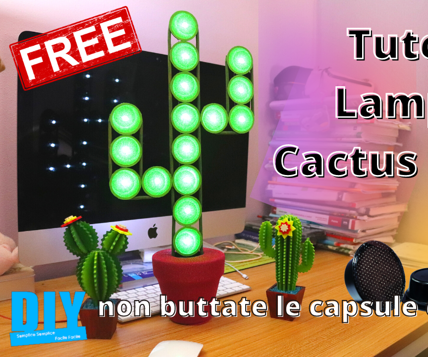 Cactus Al Caffè Riciclo Creativo