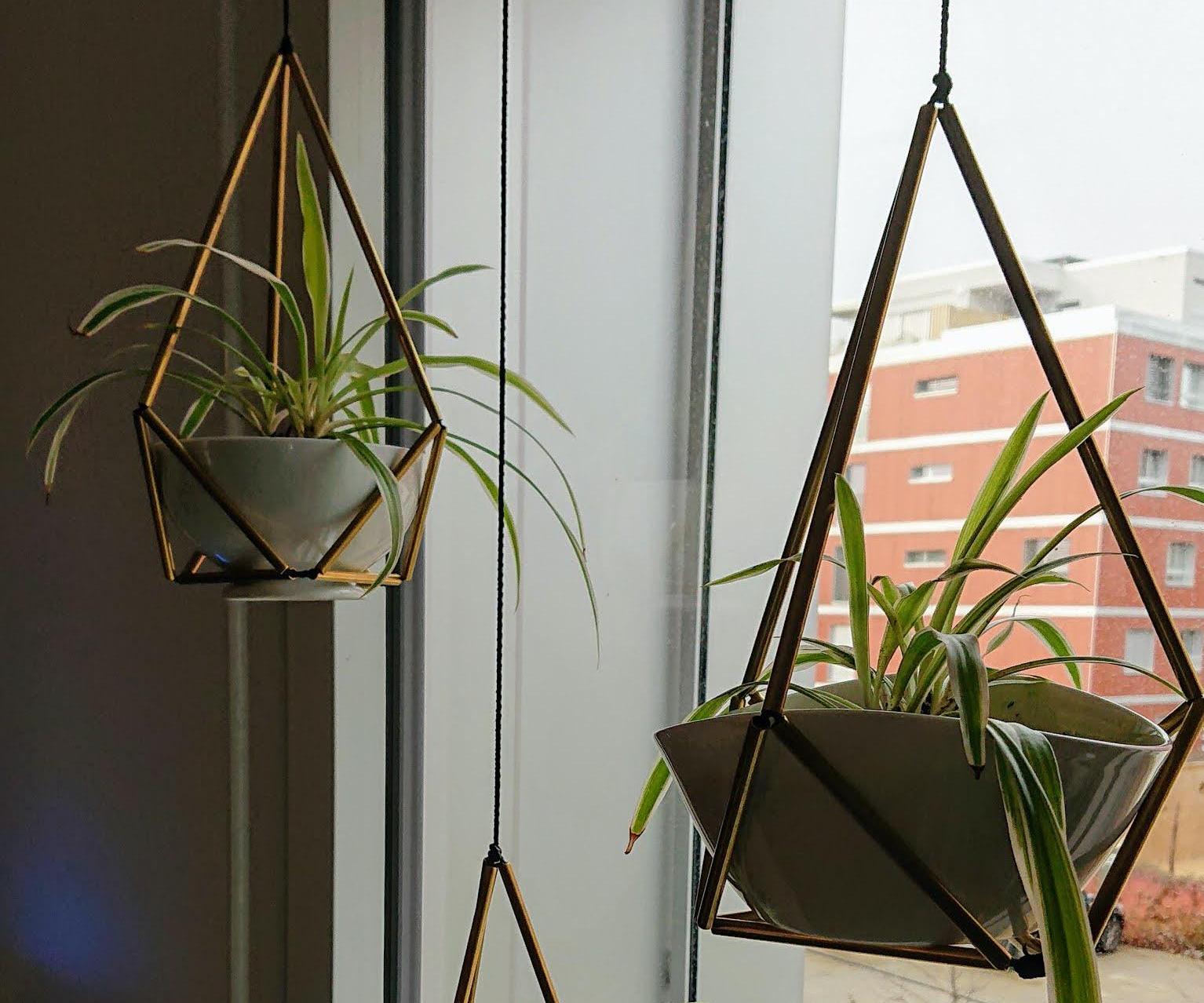 Geometric Plant Hanger