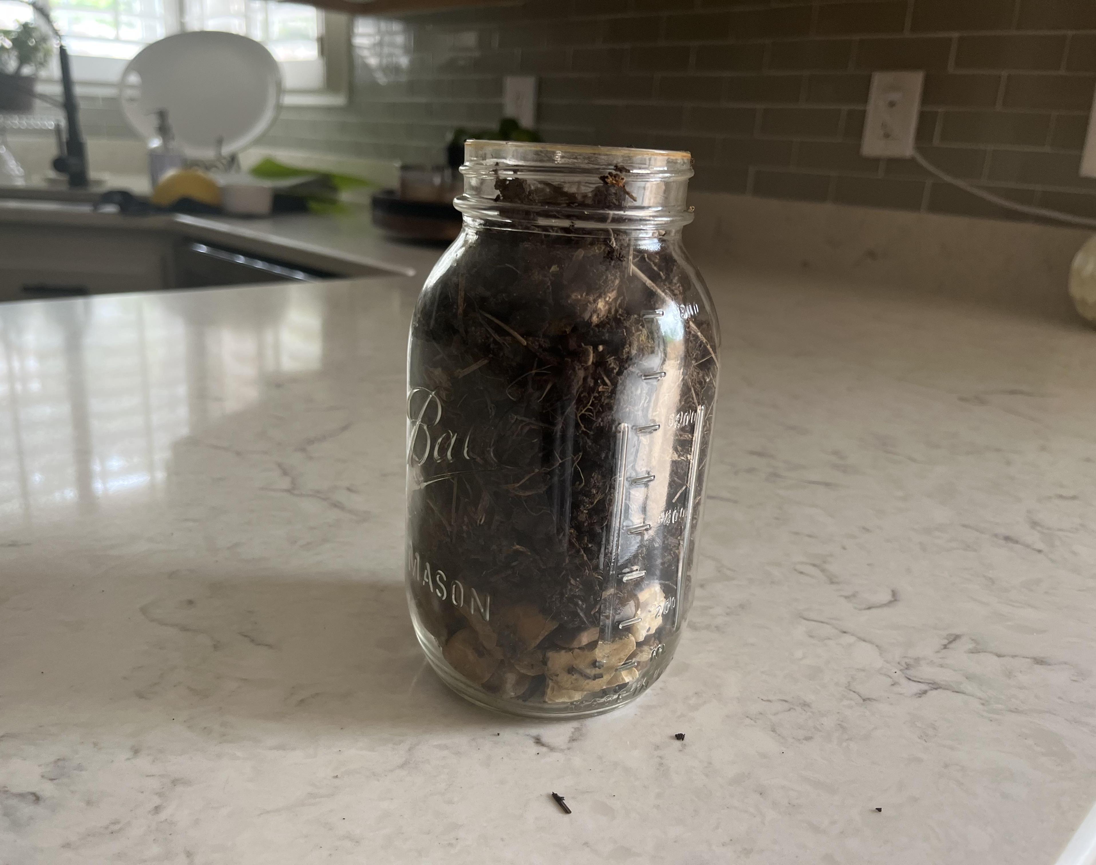 Mason Jar Into a Flower Pot