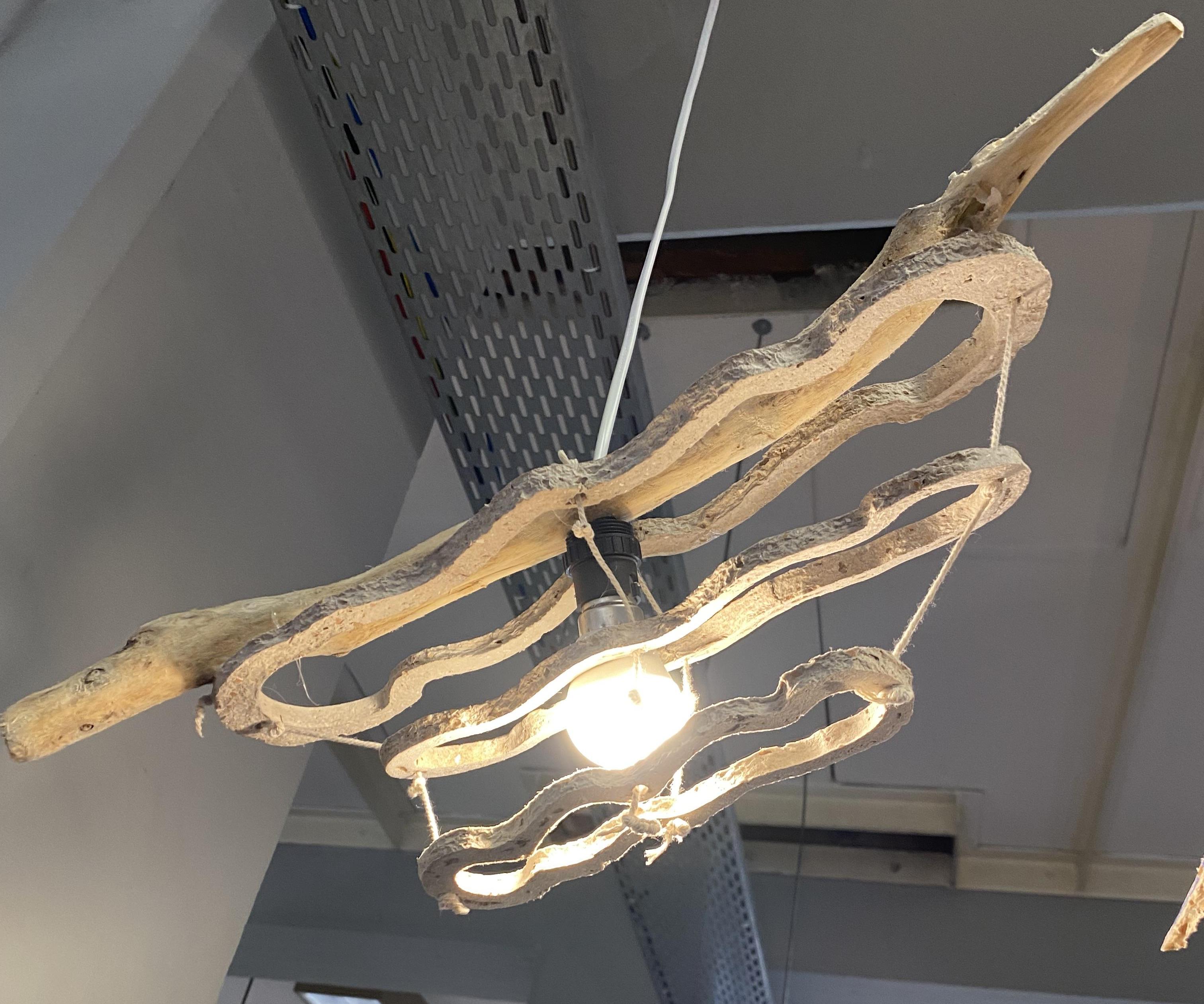 Biodegradable Luminaire