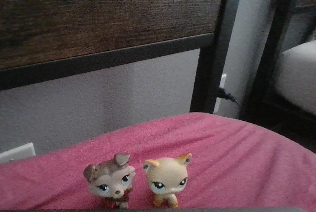 How to Make Lps Shirt or Costume