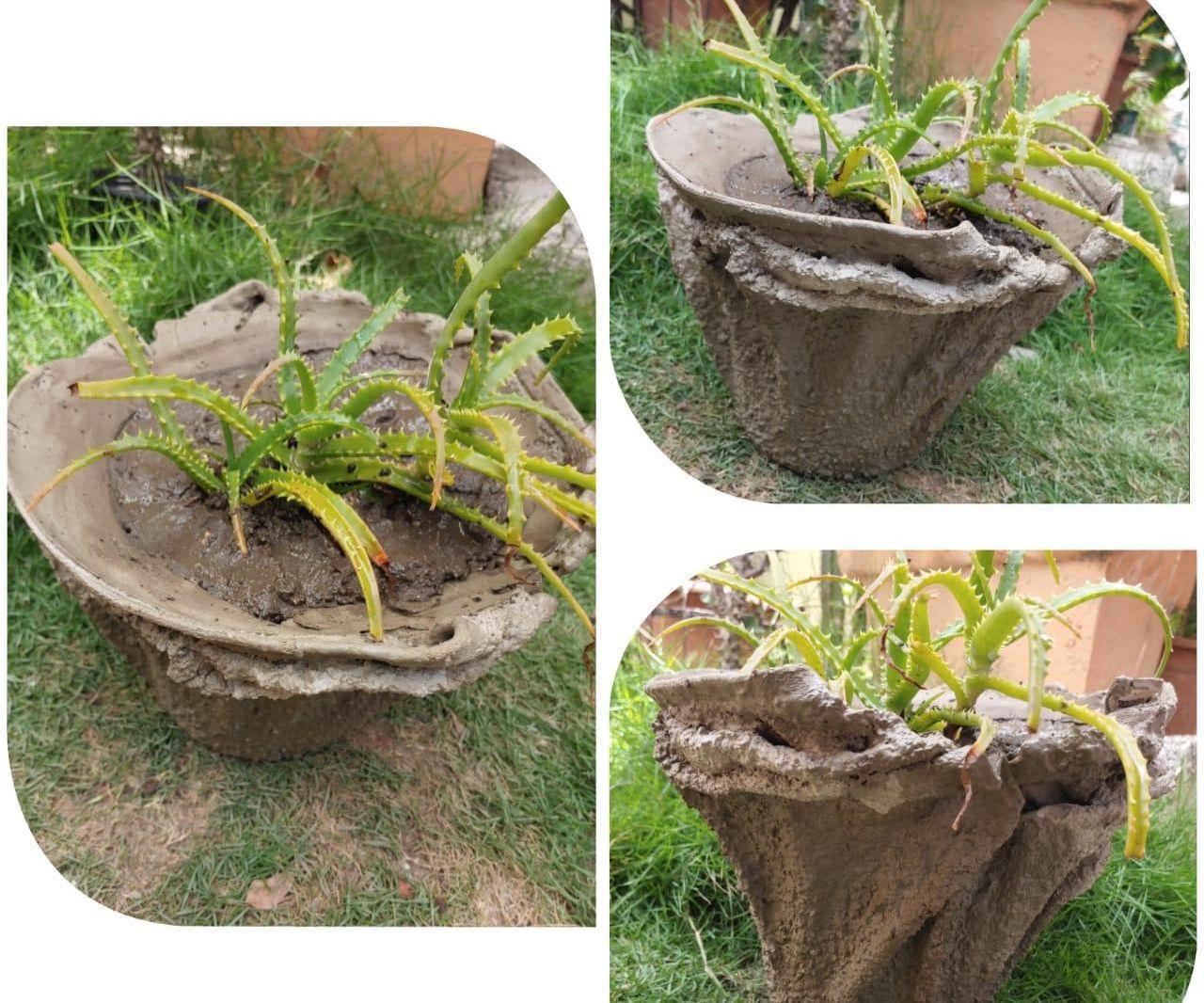 Cement Towel Plantpot