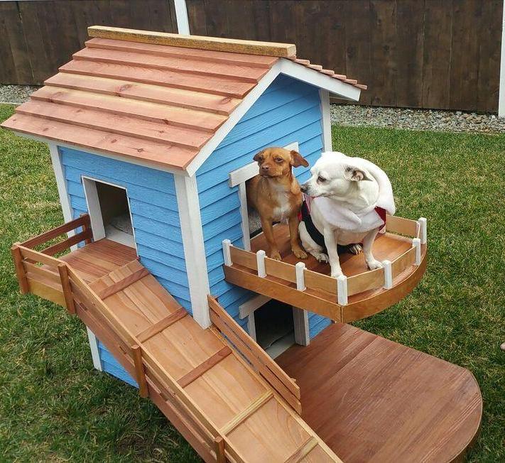 Casita Para Perritos