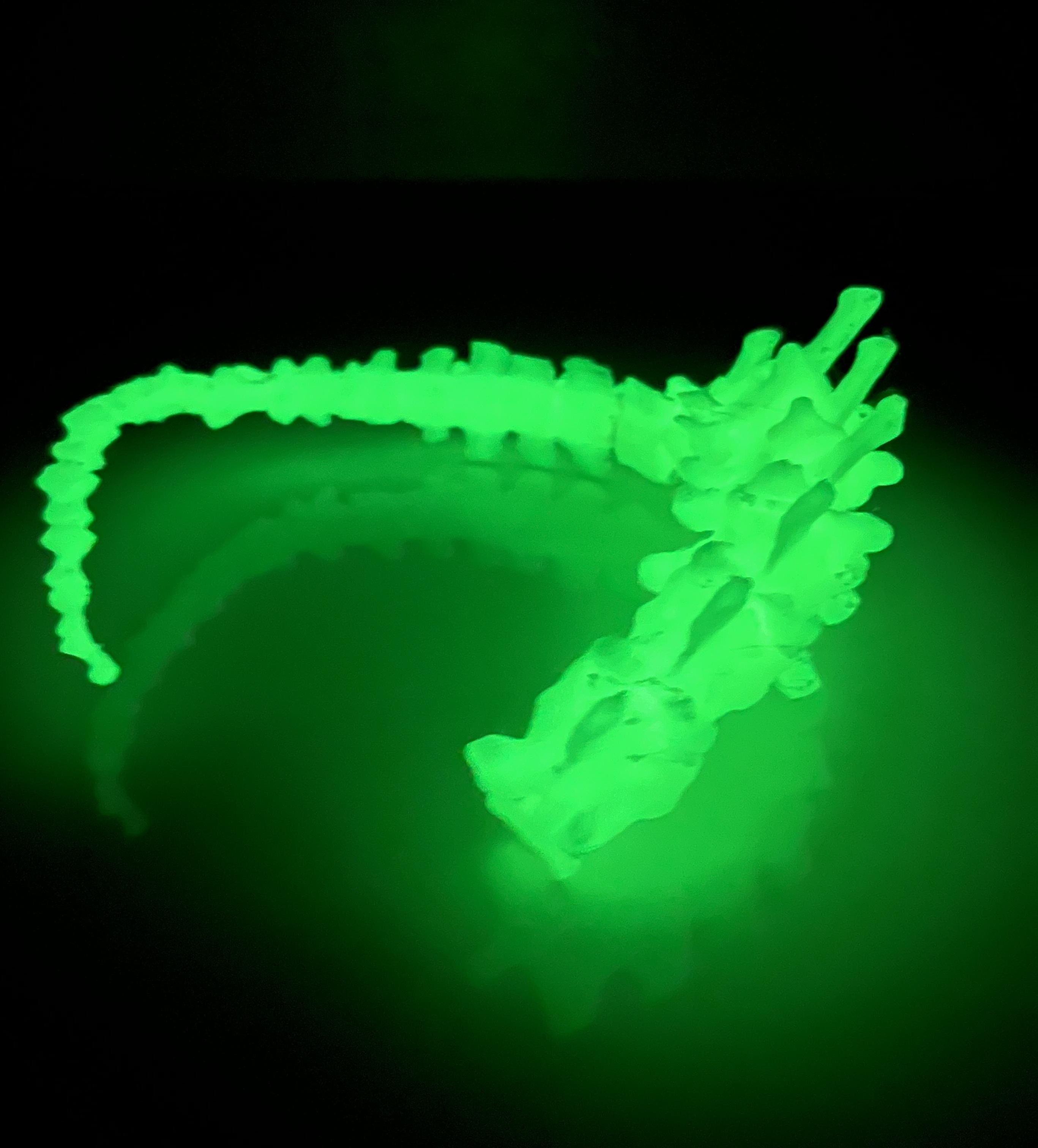 Glow in the Dark 3D Printed Spine Necklace