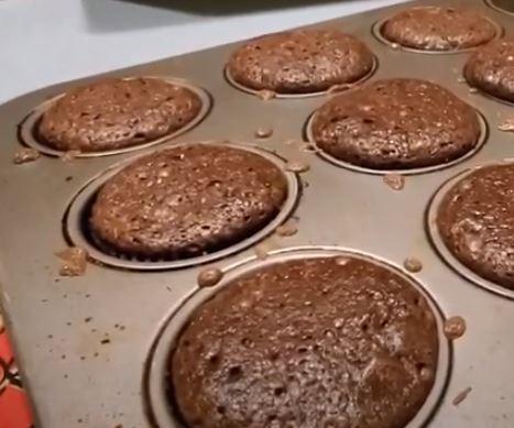 Cricket Protein Brownies