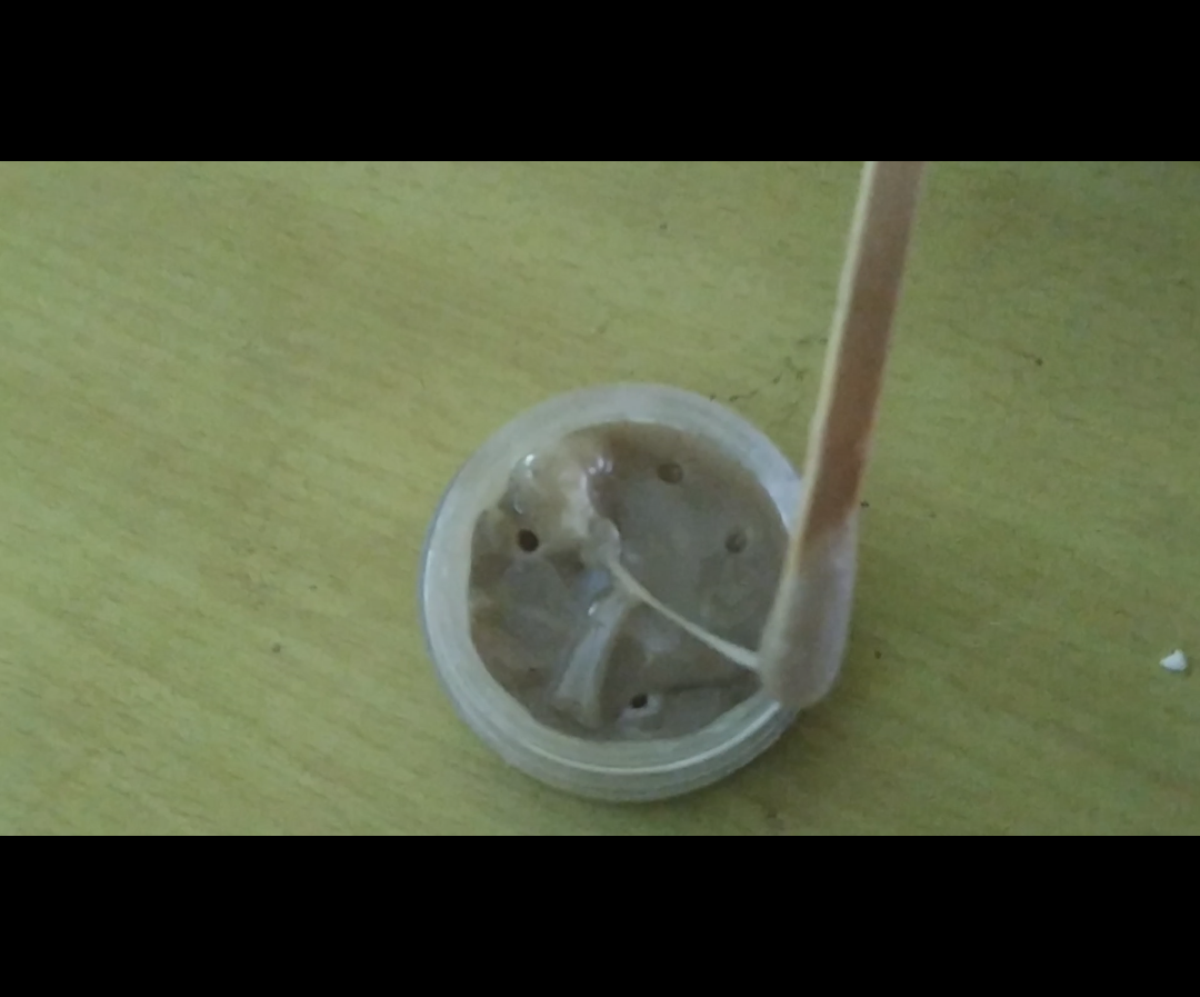 Home Made Glue Making 