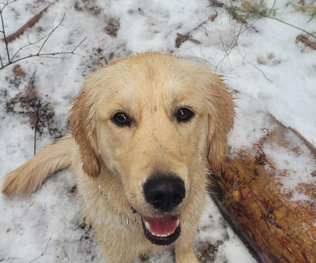 How to Get a Clean Clear Photo Edit for Beginners 