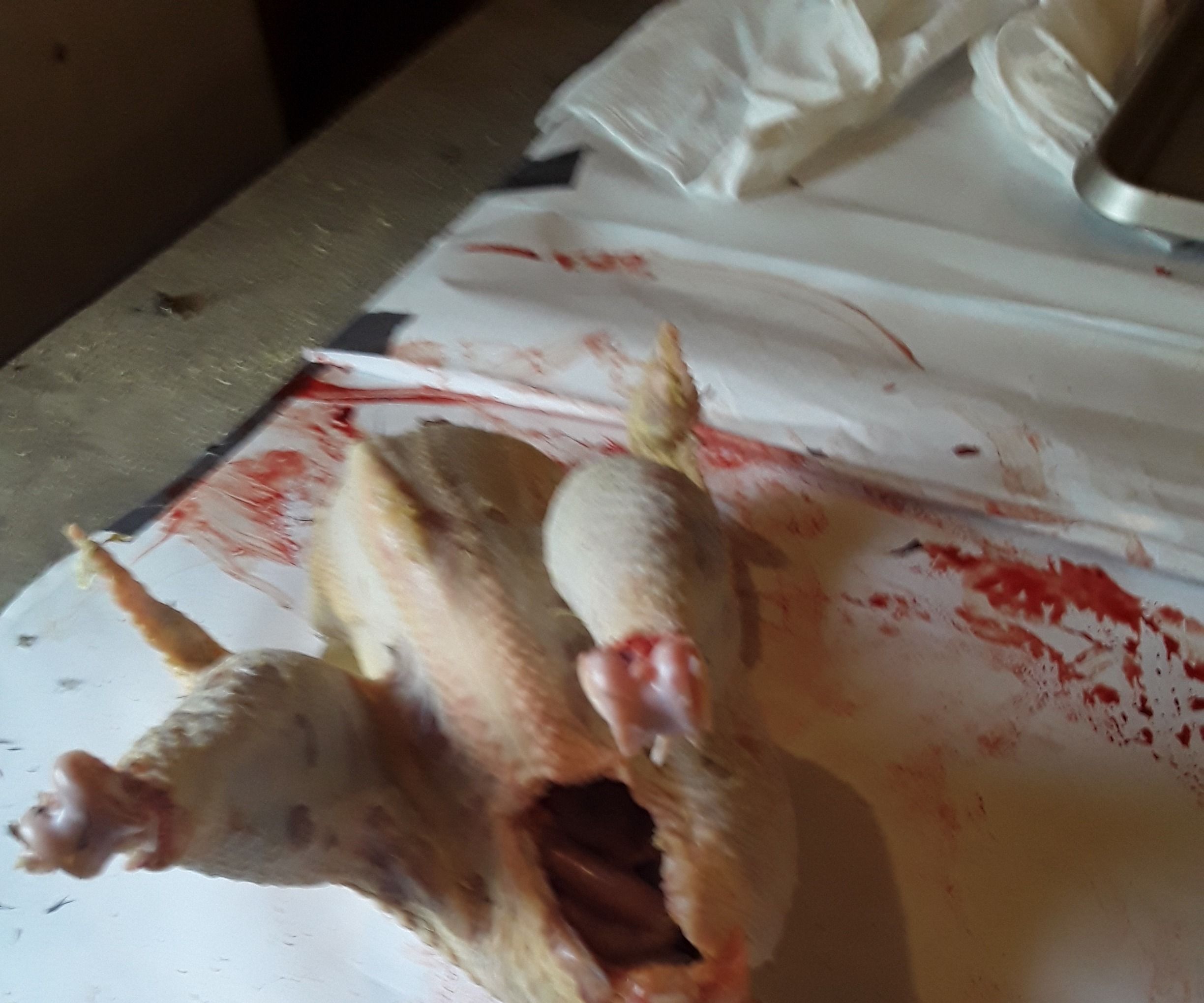 How to Butcher a Chicken