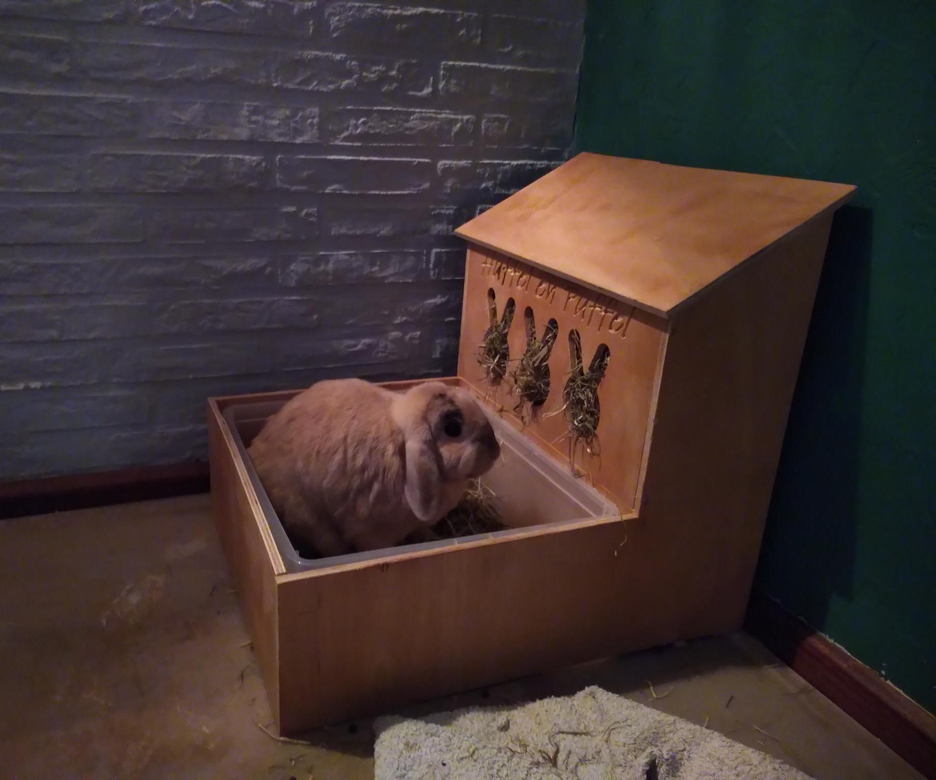 Bunny Hay Dispenser and Toilet Combination