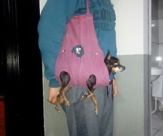 (Reciclável!!) Roupa-bolsa Para Pet