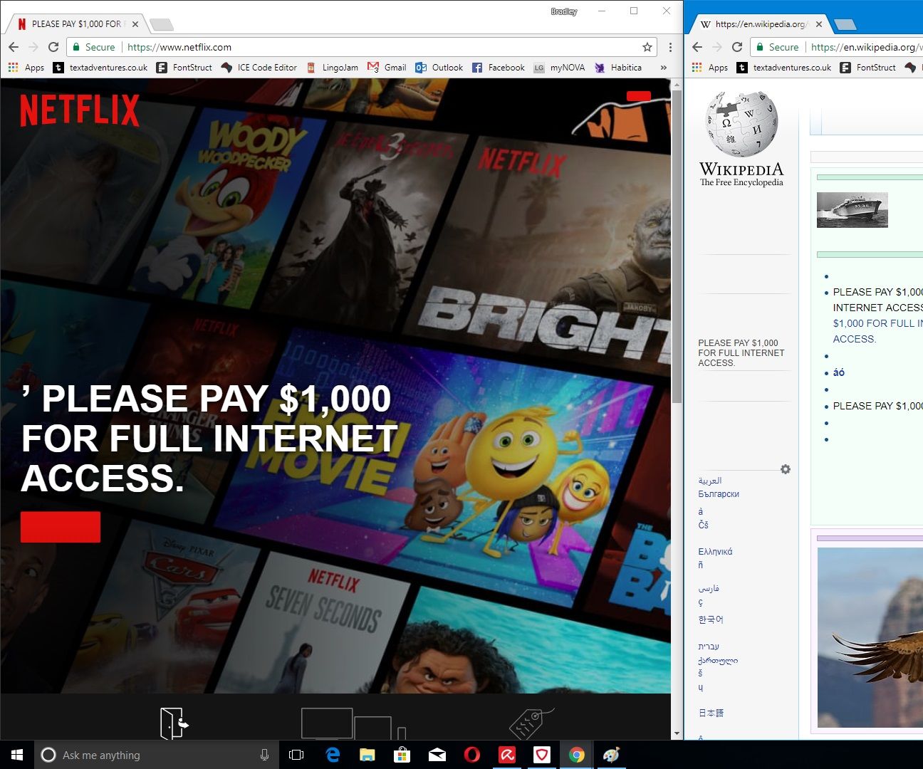 Computer Prank: “Please Pay for Web Access”