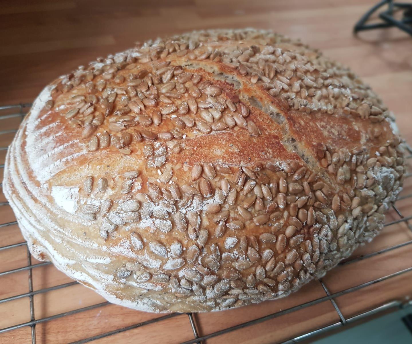 Classic Sourdough Loaf (and Extra Sourdough Tips and Tricks!)