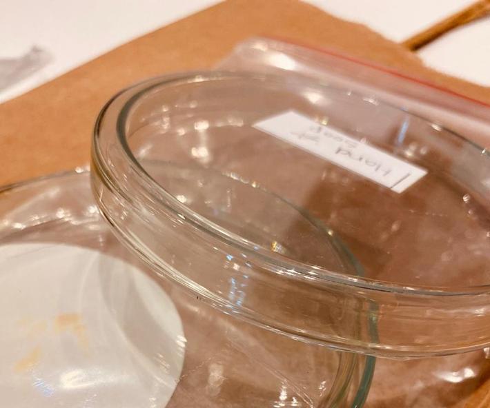 انتشار الباكتيريا