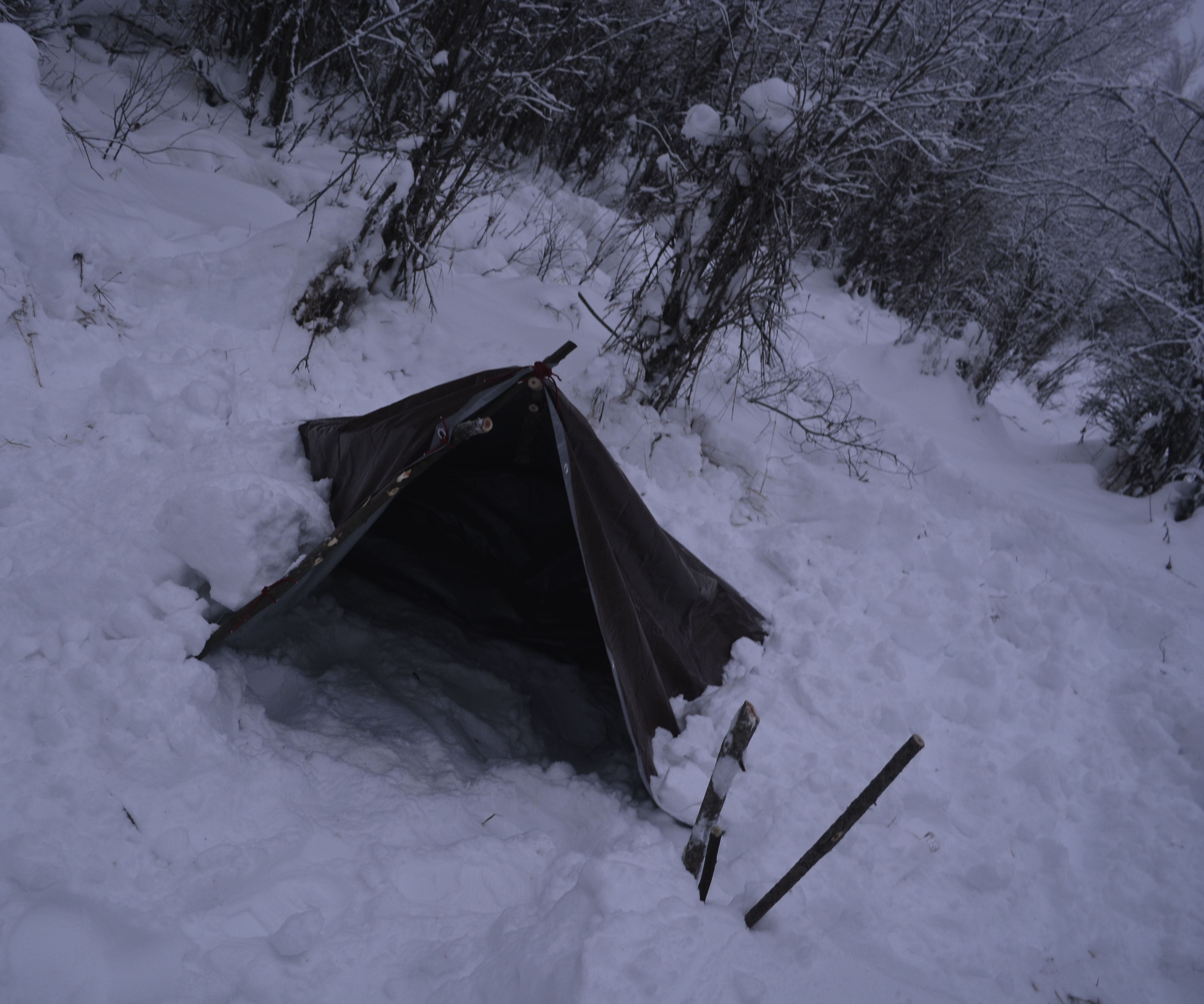 A Simple Survival Tarp Shelter