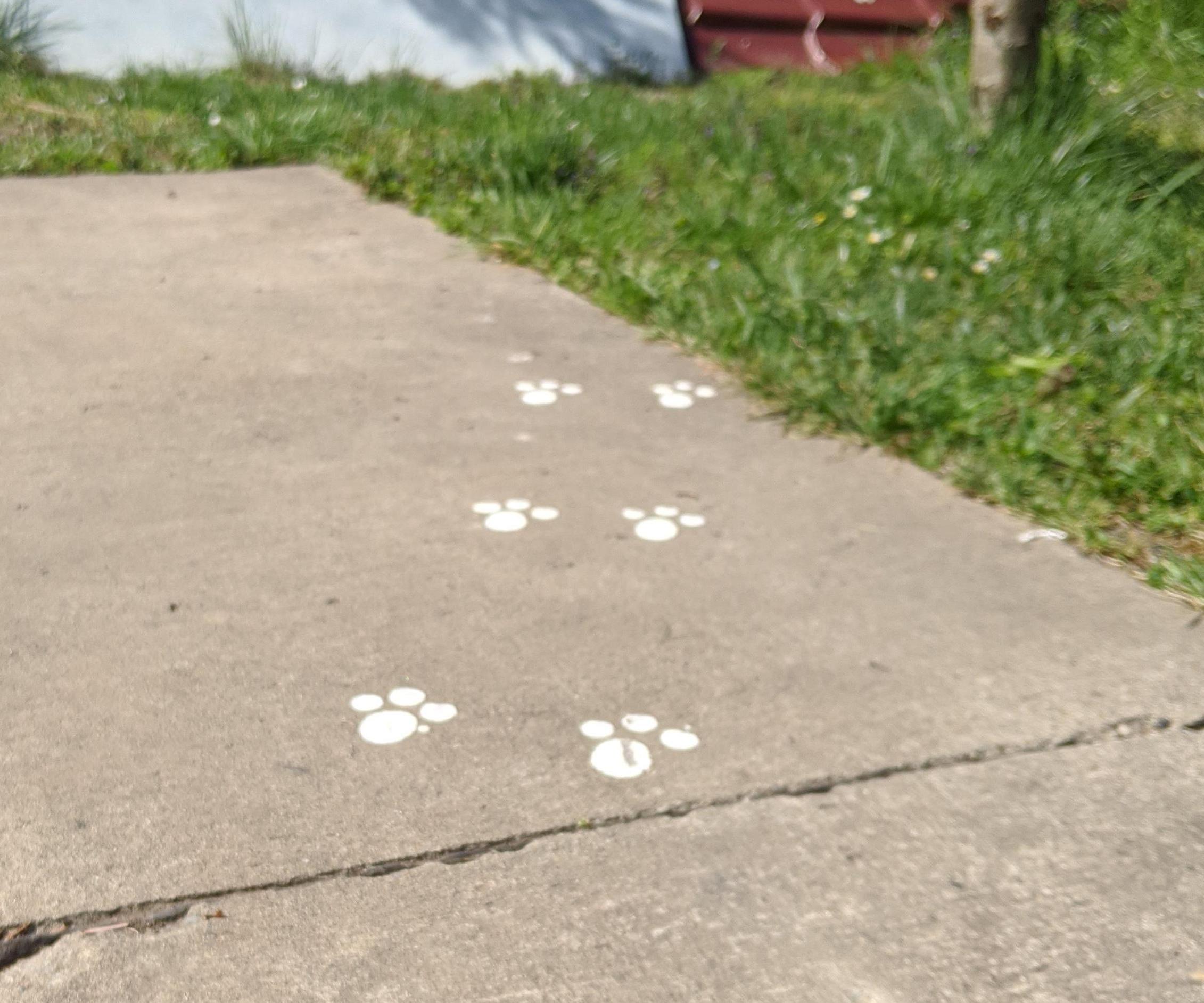 Easter Bunny Footprints