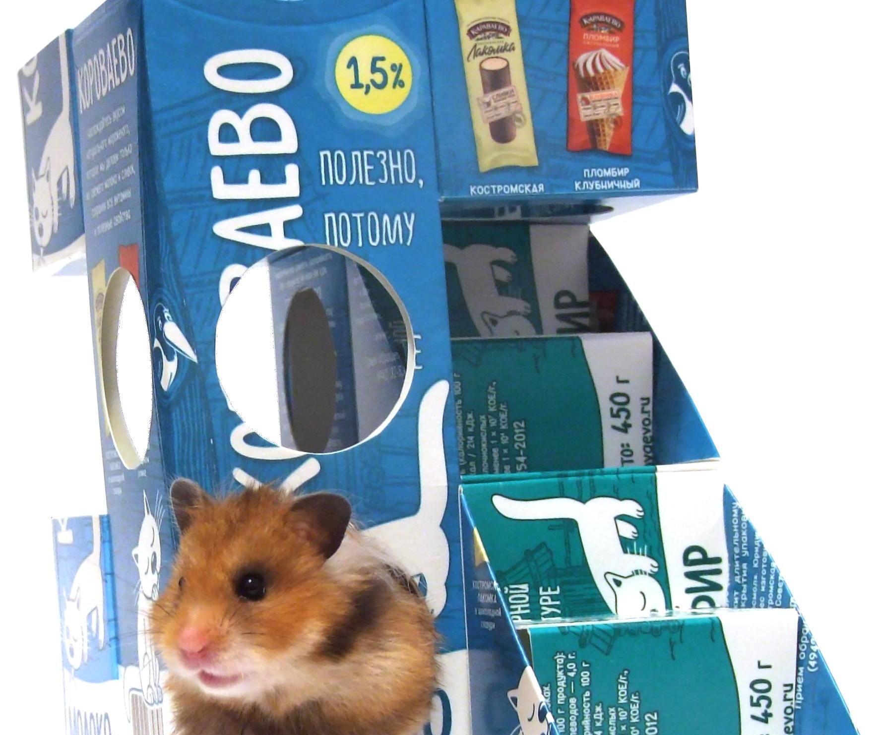 This Is the House Where Hamster Lives