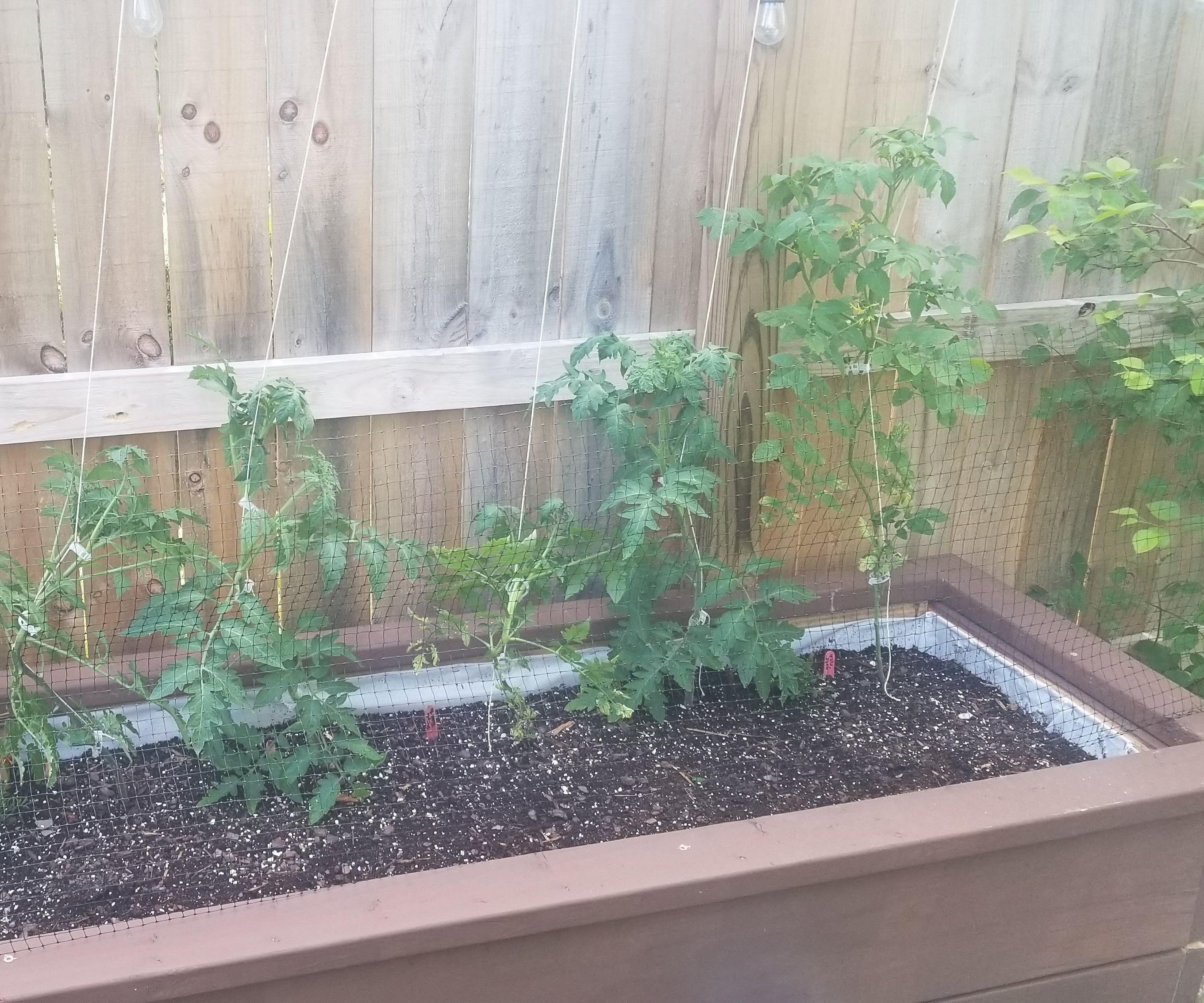 SIP Raised Garden Bed