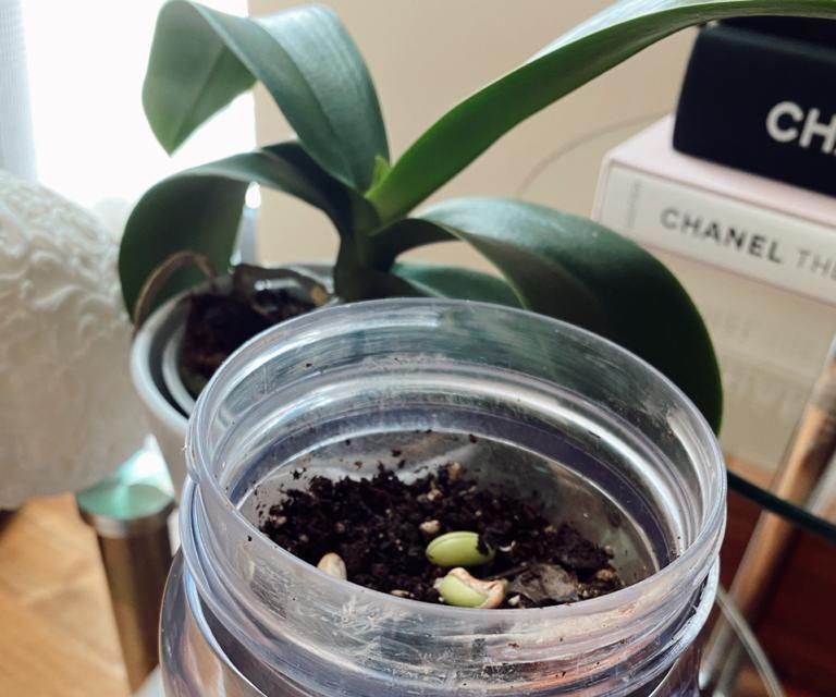 Radiating Positive Energy 