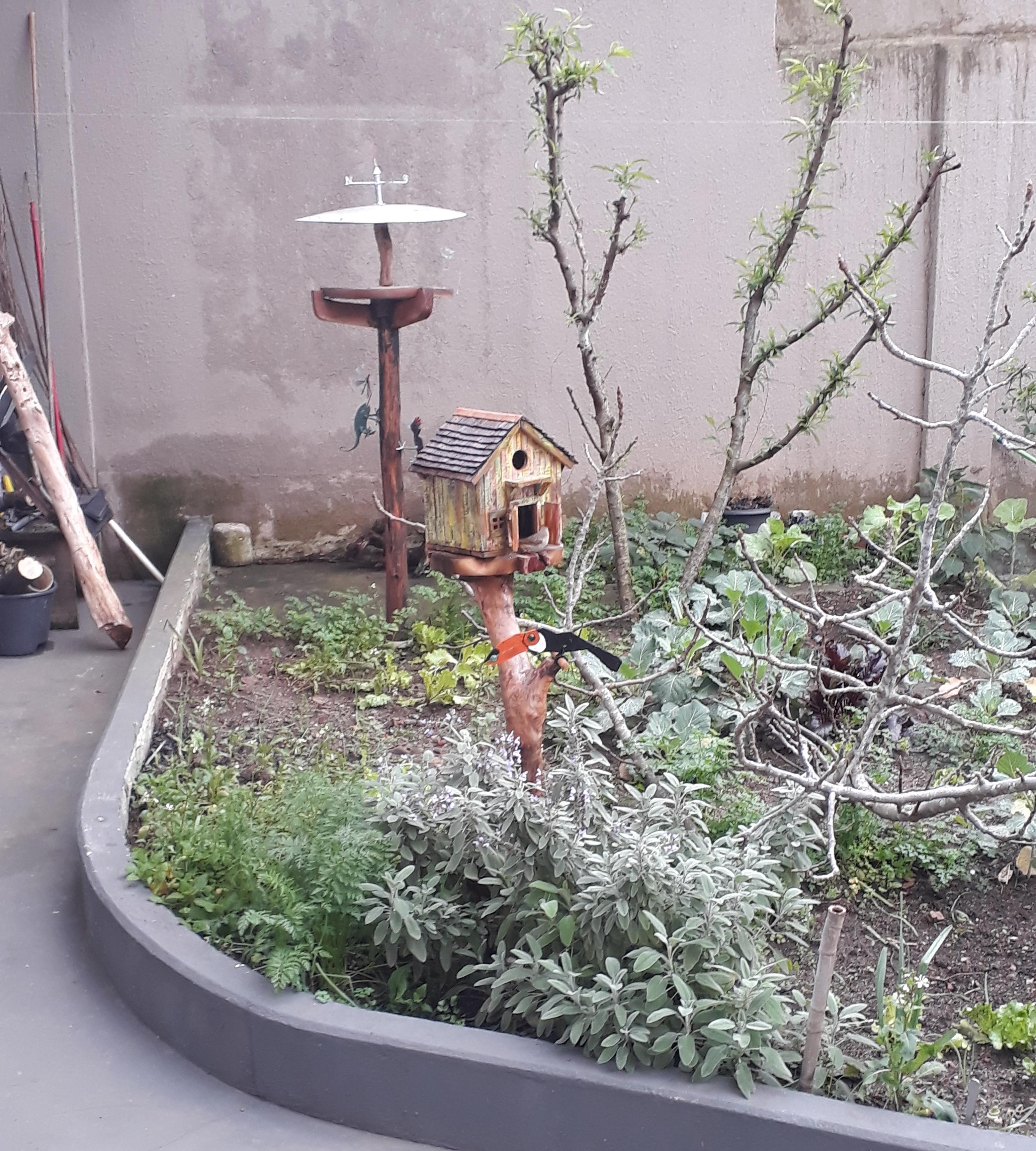 Bird House - Casa De Passarinho