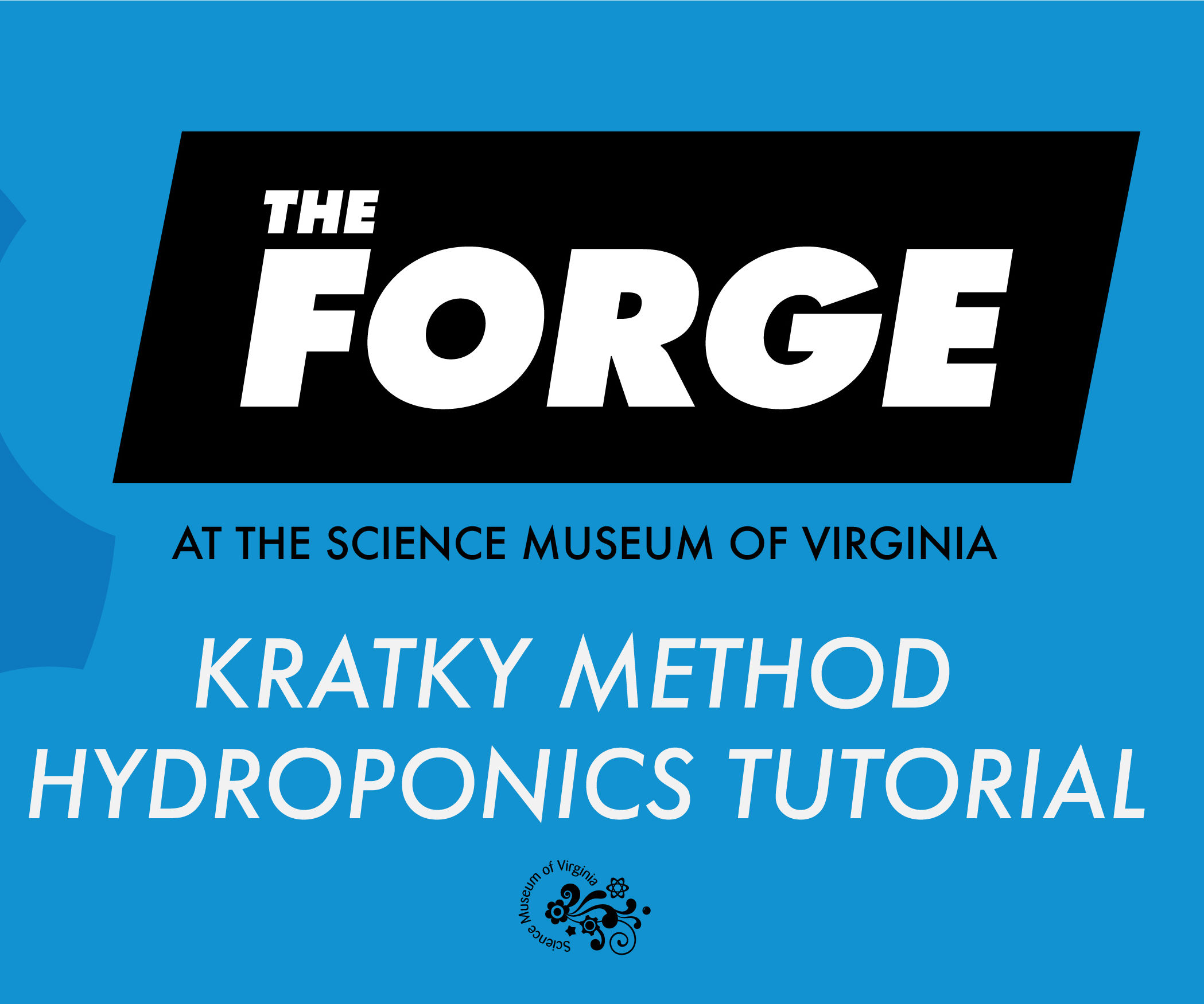 Kratky Method Hydroponics Tutorial